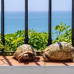 Casa Violeta - Vistas Al Mar Appartement